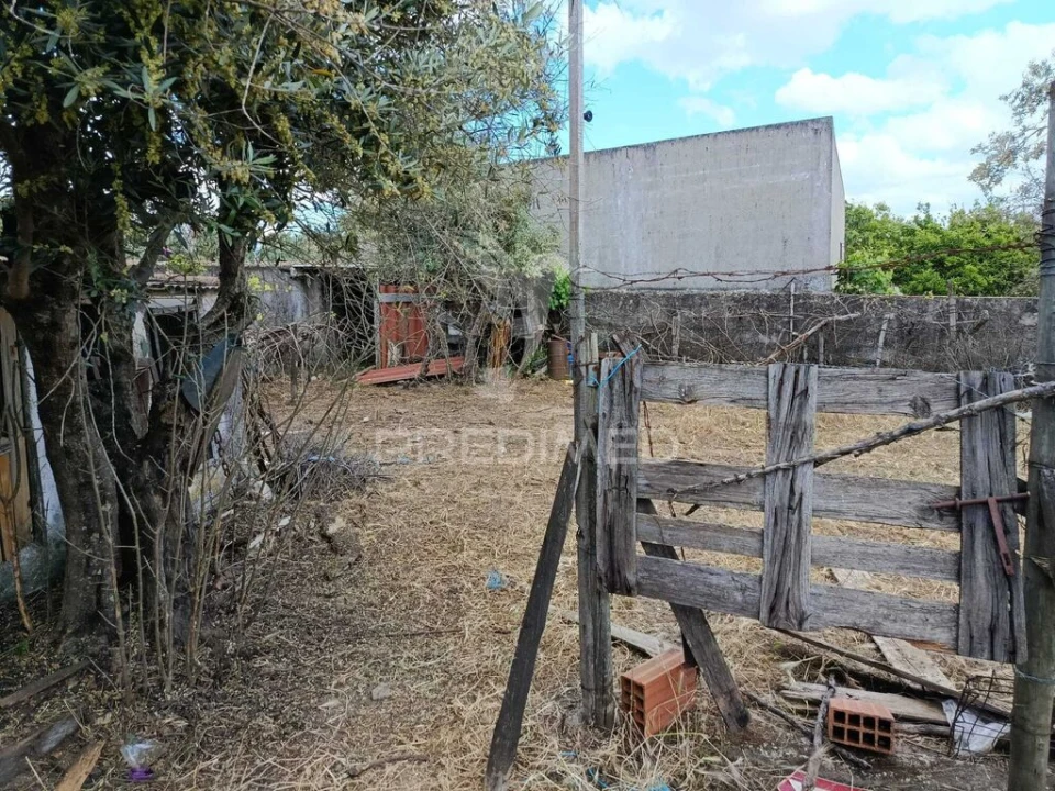 Terreno para Venda em Alagoa Foto 5