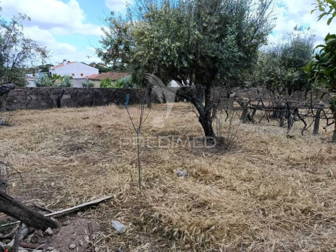 Terreno para Venda em Alagoa Foto 7