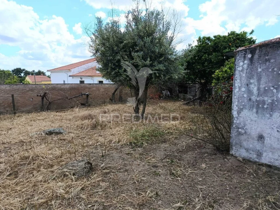 Terreno para Venda em Alagoa Foto 4