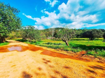 Terreno para Venda em Loule (São Sebastião)