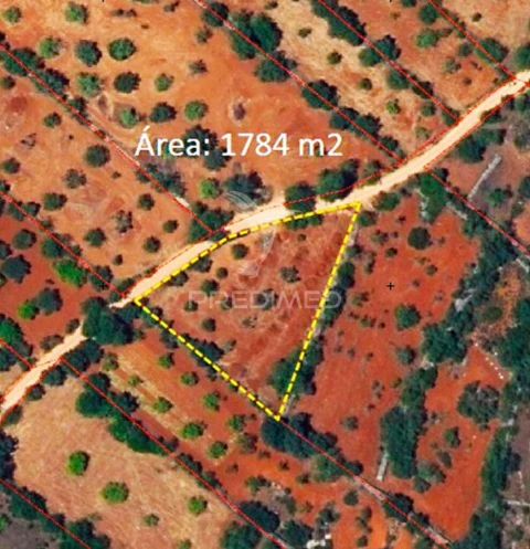 Terreno para Venda em Loule (São Sebastião)