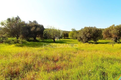 Terreno para Venda em Loule (São Sebastião)