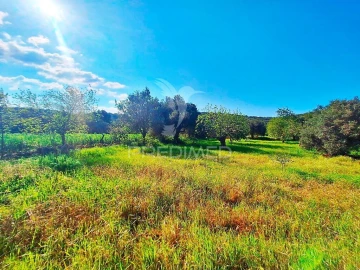 Terreno para Venda em Loule (São Sebastião)