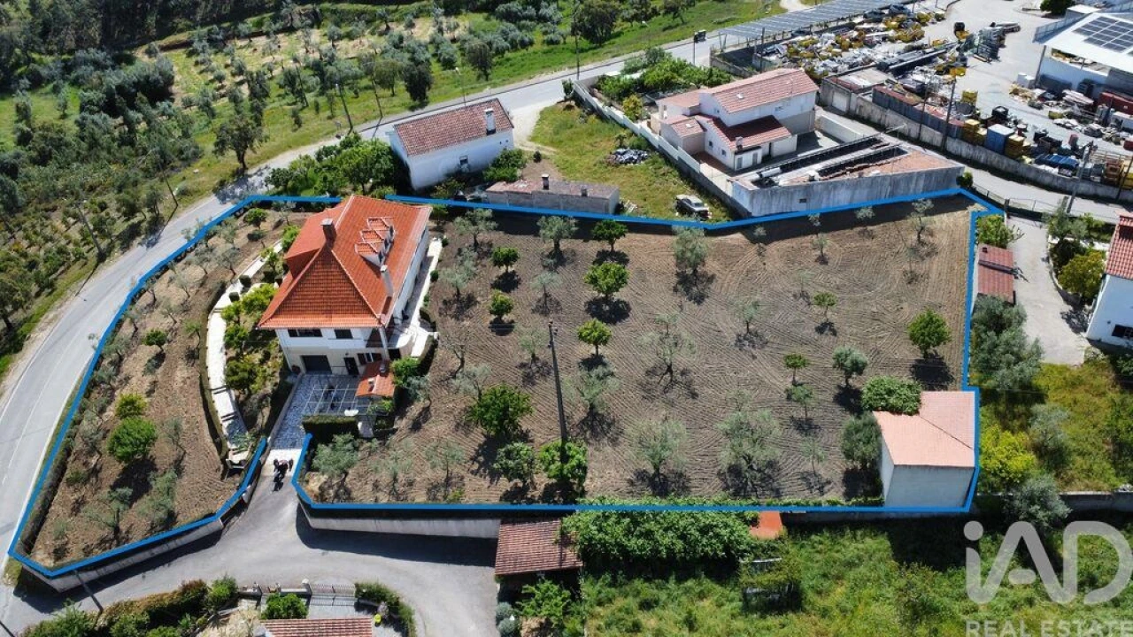 Moradia T6 para Venda em Proença-A-Nova e Peral Foto 9