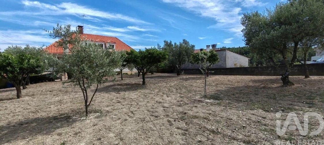 Moradia T6 para Venda em Proença-A-Nova e Peral Foto 40