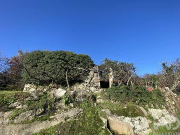 Moradia T3 para Venda em Covas