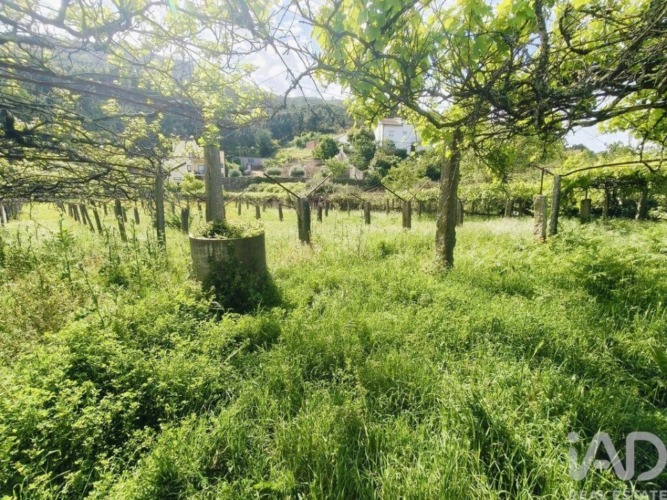 Terreno para Venda em Lanhelas Foto 13