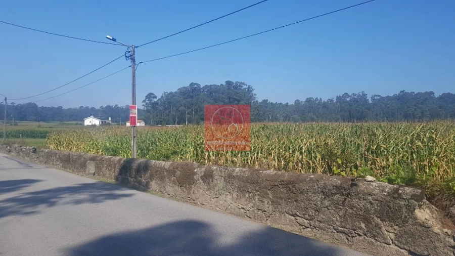 Terreno para Venda em Vila Seca Foto 3