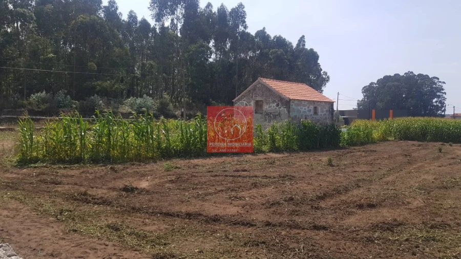 Terreno para Venda em Vila Seca Foto 10
