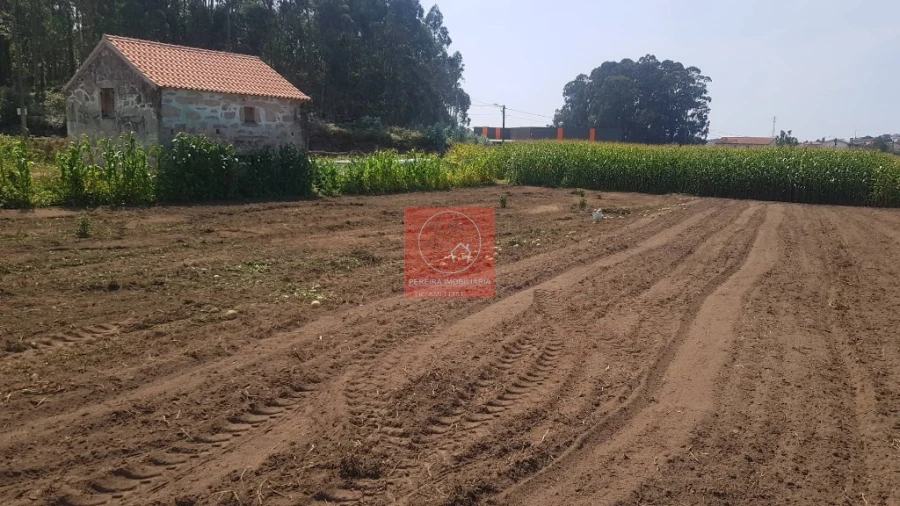 Terreno para Venda em Vila Seca Foto 8