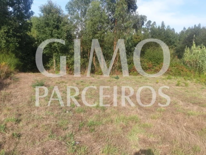 Terreno para Venda em Oliveira do Bairro Foto 2