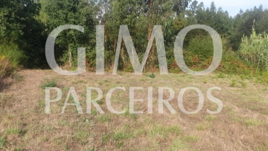 Terreno para Venda em Oliveira do Bairro