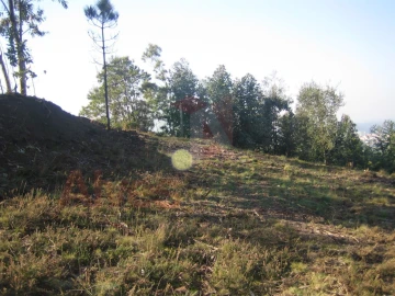 Terreno para Venda em Guilhabreu
