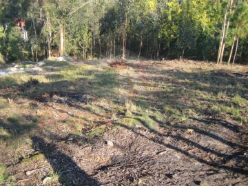Terreno para Venda em Guilhabreu