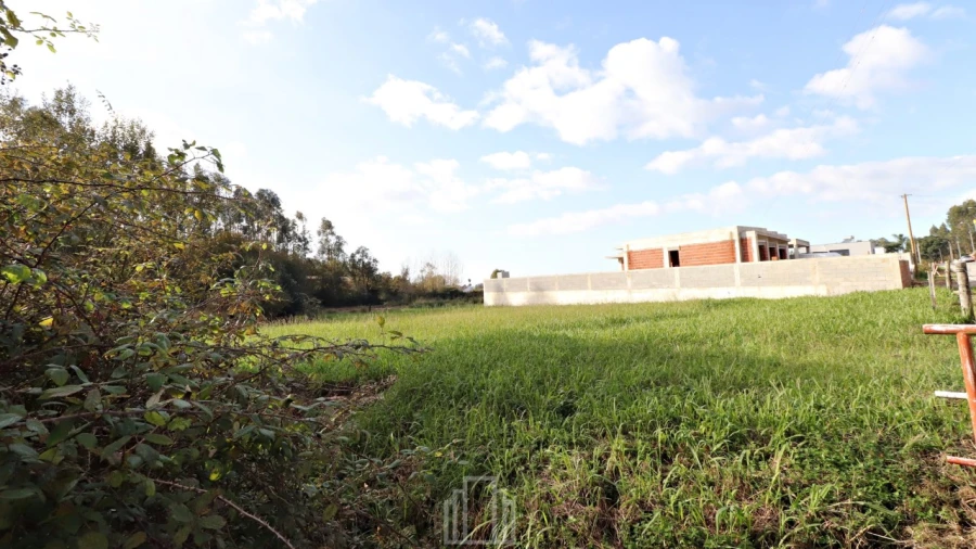 Terreno para Venda em Ovar, São João, Arada e São Vicente de Pereira Jusã Foto 3