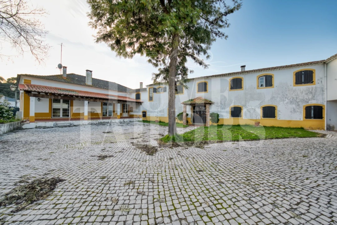 Quinta T9 para Venda em Chamusca e Pinheiro Grande Foto 2