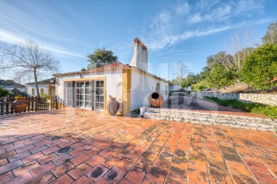 Quinta T9 para Venda em Chamusca e Pinheiro Grande