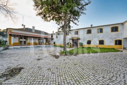 Quinta T9 para Venda em Chamusca e Pinheiro Grande