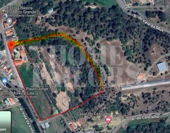 Quinta T9 para Venda em Chamusca e Pinheiro Grande