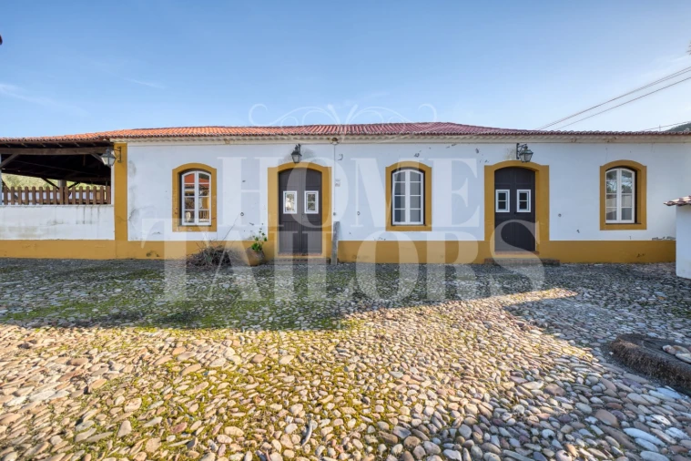 Quinta T9 para Venda em Chamusca e Pinheiro Grande Foto 3
