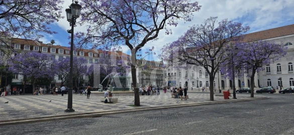 Apartamento T2 para Venda em Santa Maria Maior