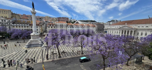 Apartamento T2 para Venda em Santa Maria Maior