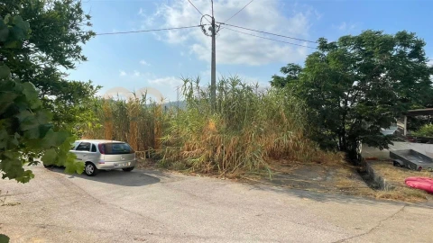 Terreno para Venda em Alcoutim e Pereiro