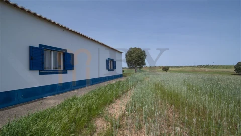 Moradia T8 para Venda em Albernoa e Trindade