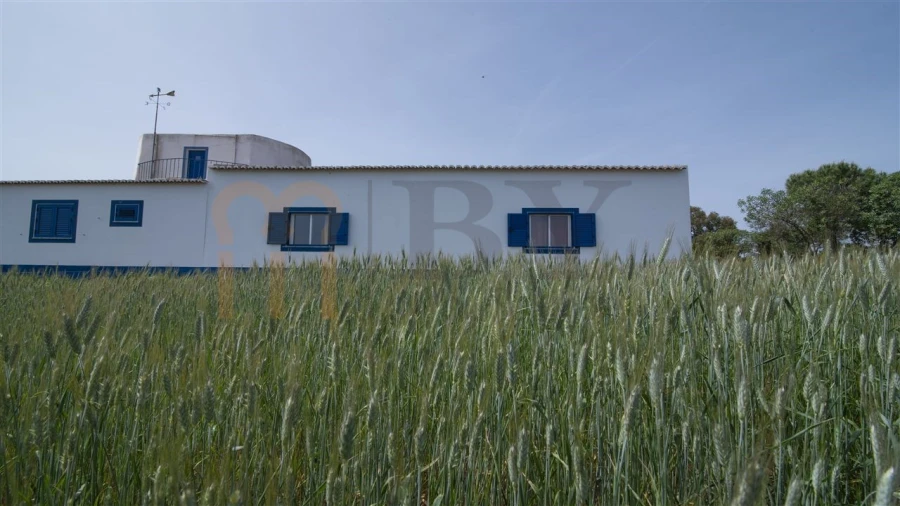 Moradia T8 para Venda em Albernoa e Trindade Foto 48