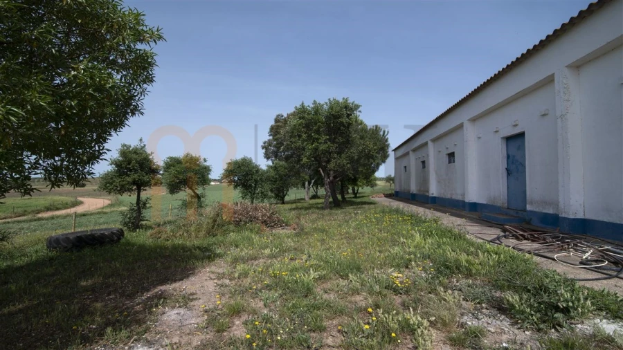 Moradia T8 para Venda em Albernoa e Trindade Foto 52