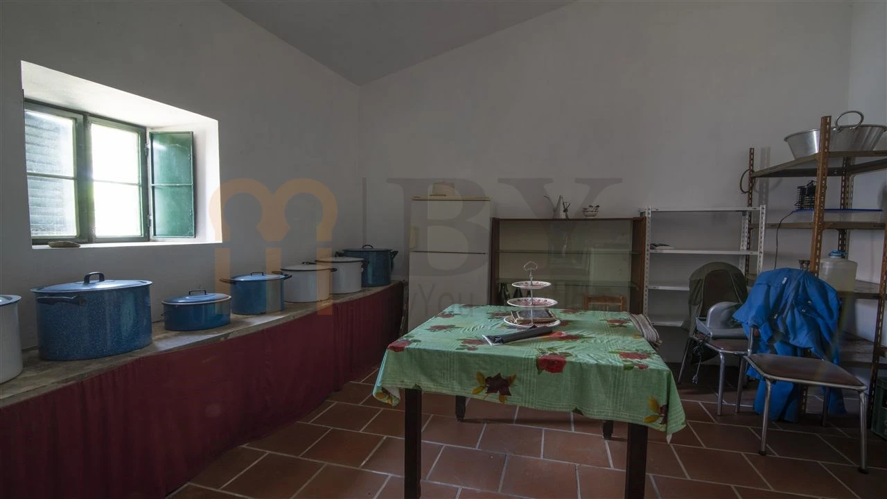 Quinta para Venda em São Miguel do Pinheiro, São Pedro de Solis, São Sebastião dos Carros Foto 13