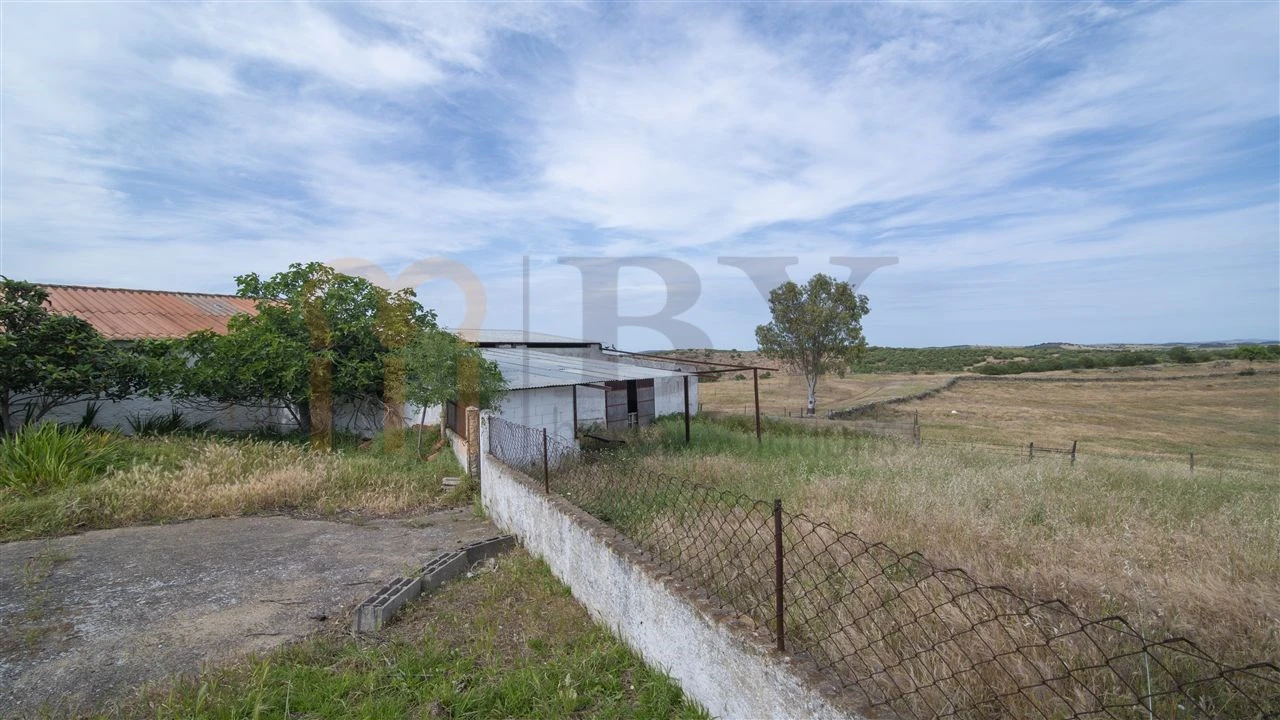Quinta para Venda em São Miguel do Pinheiro, São Pedro de Solis, São Sebastião dos Carros Foto 32