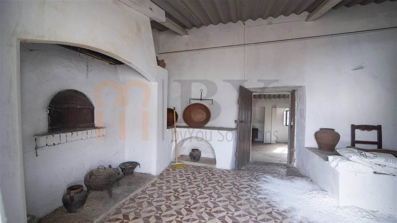 Quinta para Venda em São Miguel do Pinheiro, São Pedro de Solis, São Sebastião dos Carros Foto 34