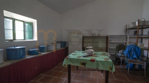 Quinta para Venda em São Miguel do Pinheiro, São Pedro de Solis, São Sebastião dos Carros