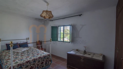 Quinta para Venda em São Miguel do Pinheiro, São Pedro de Solis, São Sebastião dos Carros