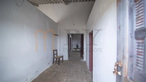Quinta para Venda em São Miguel do Pinheiro, São Pedro de Solis, São Sebastião dos Carros