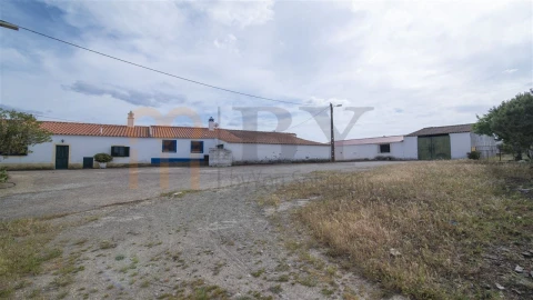 Quinta para Venda em São Miguel do Pinheiro, São Pedro de Solis, São Sebastião dos Carros