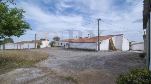 Quinta para Venda em São Miguel do Pinheiro, São Pedro de Solis, São Sebastião dos Carros