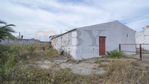 Quinta para Venda em São Miguel do Pinheiro, São Pedro de Solis, São Sebastião dos Carros
