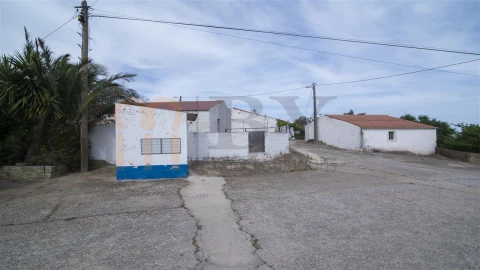 Quinta para Venda em São Miguel do Pinheiro, São Pedro de Solis, São Sebastião dos Carros