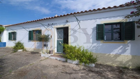Quinta para Venda em São Miguel do Pinheiro, São Pedro de Solis, São Sebastião dos Carros