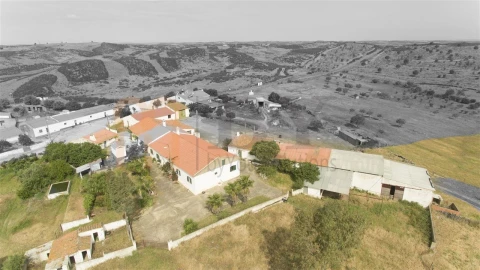 Quinta para Venda em São Miguel do Pinheiro, São Pedro de Solis, São Sebastião dos Carros