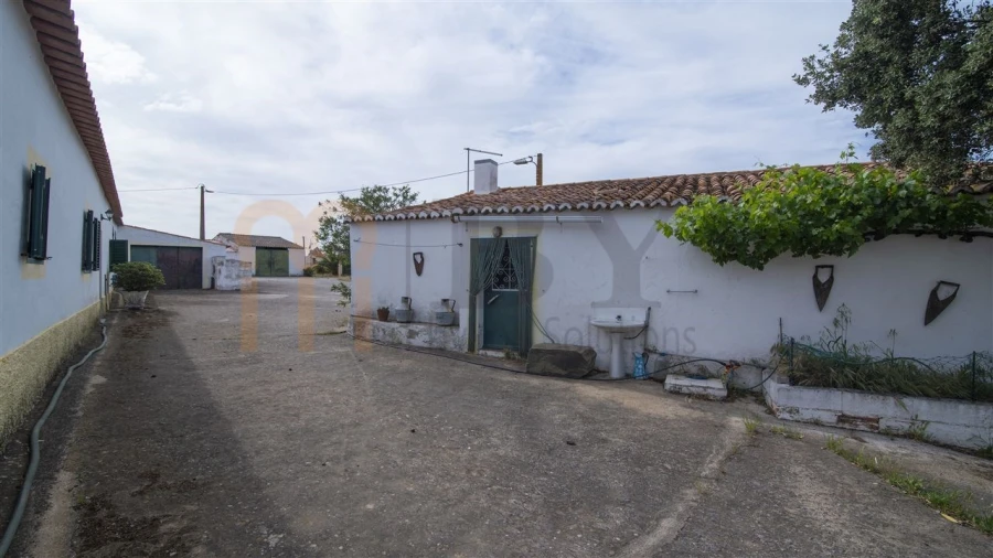 Quinta para Venda em São Miguel do Pinheiro, São Pedro de Solis, São Sebastião dos Carros Foto 33