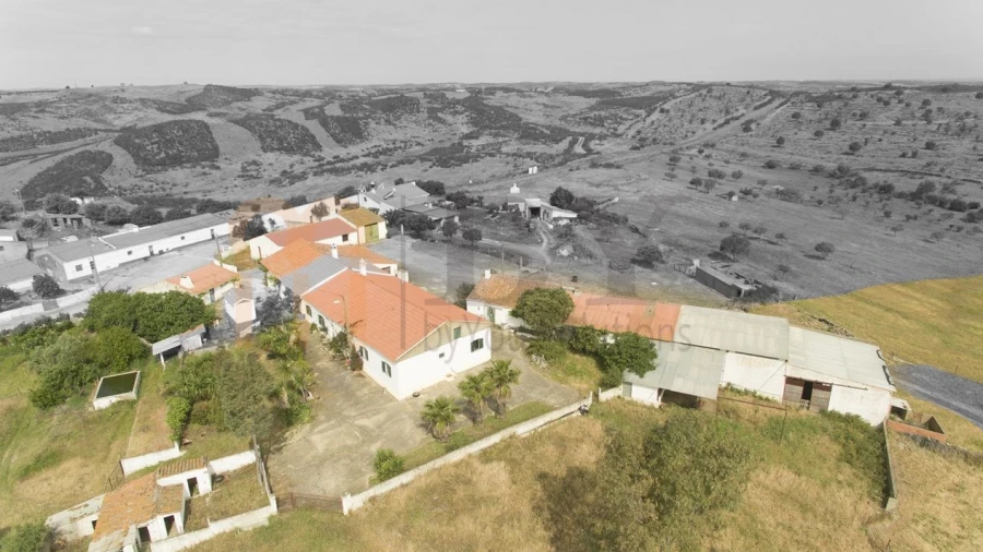 Quinta para Venda em São Miguel do Pinheiro, São Pedro de Solis, São Sebastião dos Carros