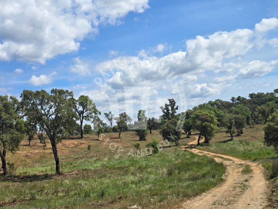 Terreno Agricola ou Rústico para Venda em Santiago do Cacém, Santa Cruz e São Bartolomeu da Serra Foto 1