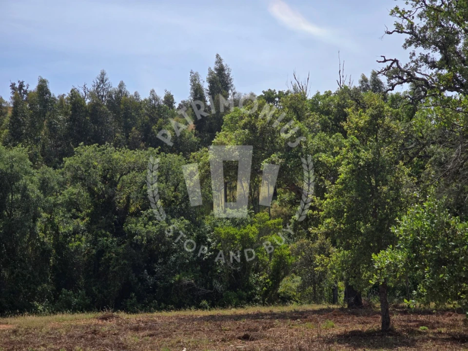 Terreno Agricola ou Rústico para Venda em Santiago do Cacém, Santa Cruz e São Bartolomeu da Serra Foto 10
