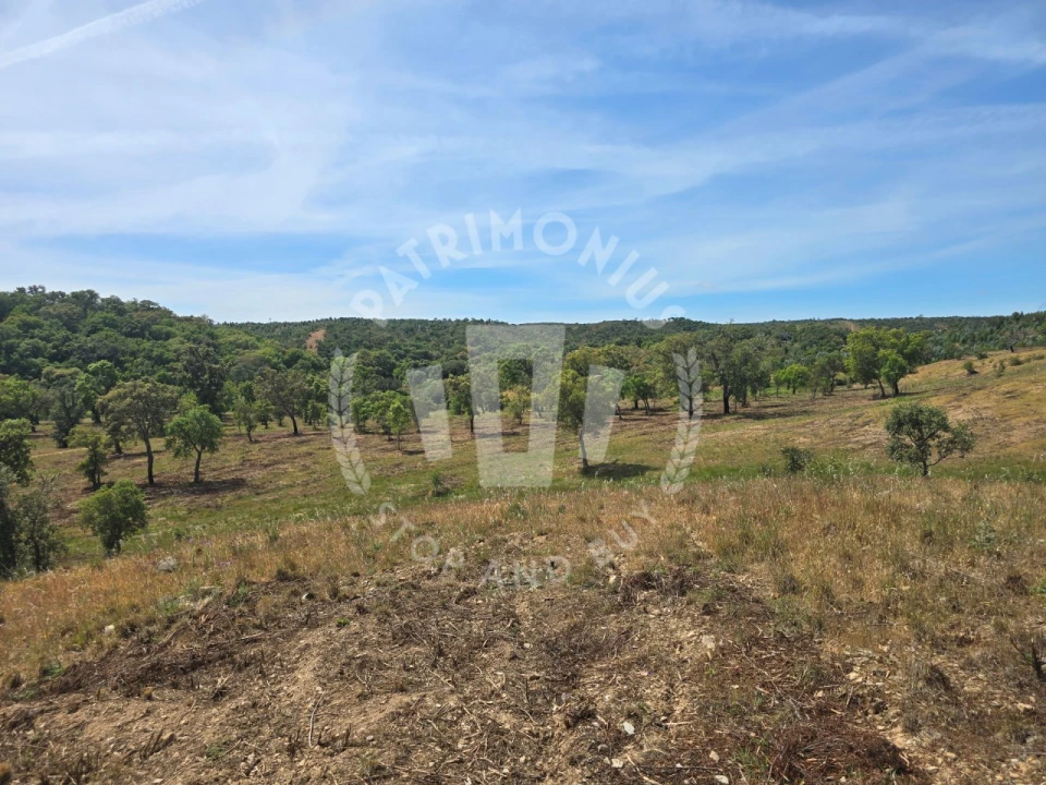 Terreno Agricola ou Rústico para Venda em Santiago do Cacém, Santa Cruz e São Bartolomeu da Serra Foto 14