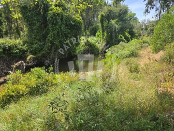 Terreno Agricola ou Rústico para Venda em Santiago do Cacém, Santa Cruz e São Bartolomeu da Serra