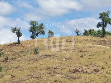 Terreno Agricola ou Rústico para Venda em Santiago do Cacém, Santa Cruz e São Bartolomeu da Serra