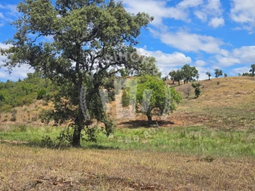 Terreno Agricola ou Rústico para Venda em Santiago do Cacém, Santa Cruz e São Bartolomeu da Serra